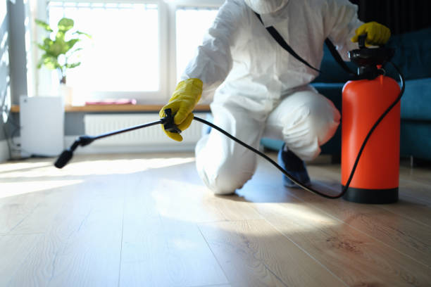 Reliable Infectious Disease Decontamination contractor in Romney, IN by Trauma Clean Pros